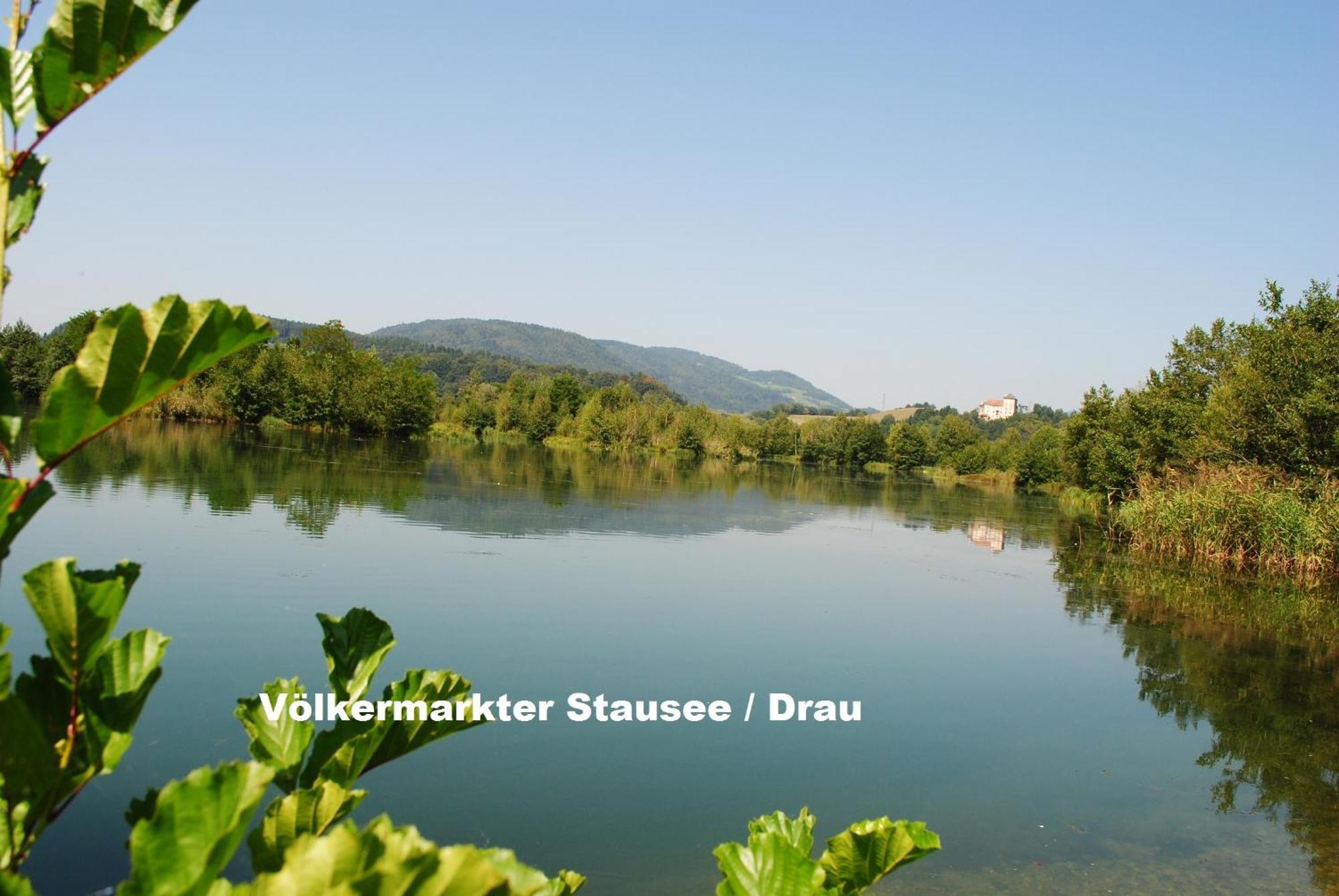 Gasthof Waldwirt Sankt Kanzian am Klopeiner See Bagian luar foto
